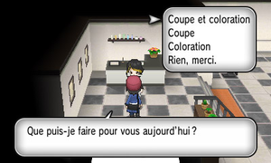 Salon de beauté.png