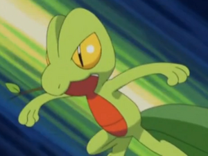 AG041 - Arcko de Sacha.png