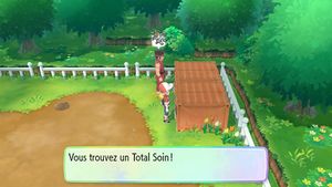 Carmin sur Mer Total Soin LGPE.jpg