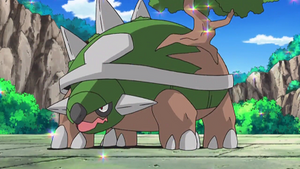 DP181 - Torterra de Sacha.png