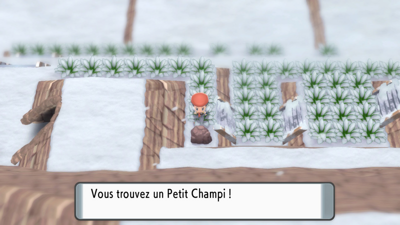 Fichier:Mont Couronné Petit Champi 5 DEPS.png