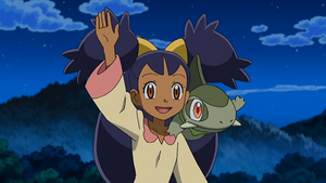 NB114 - Coupenotte d'Iris.png