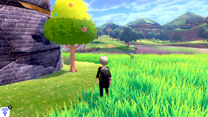 Tour en ruines Arbre à Baies EB.png