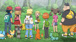 XY042 - Dedenne de Lem (Flash-back).png