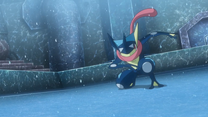 XY122 - Amphinobi de Sacha.png