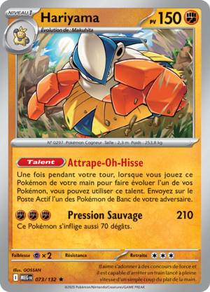 Carte Méga-Évolution 073.png
