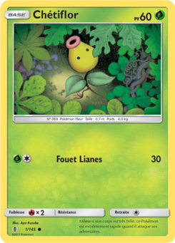 Chétiflor (Soleil et Lune Gardiens Ascendants 1)