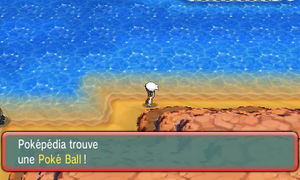 Chenal 106 Poké Ball ROSA.png