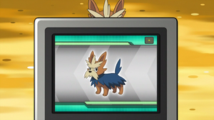 NB016 - Ponchien Pokédex.png