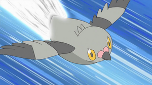 Poichigeon Vive-Attaque.png