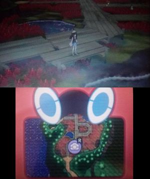 Poké Scope Jardin d'Ula-Ula.jpg