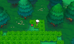Route 104 Attaque + ROSA.png
