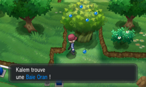 Route 5 Baie Oran XY.png