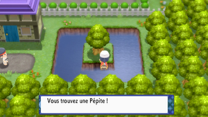 Aire de Détente Pépite DEPS.png