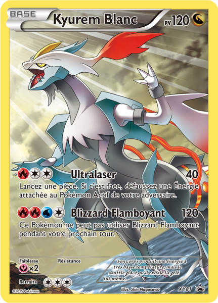 Fichier:Carte Promo XY XY81.png