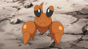 Crabicoque sans rocher.png