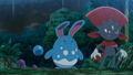 Azumarill (de Danika) et Dimoret (de Milan)