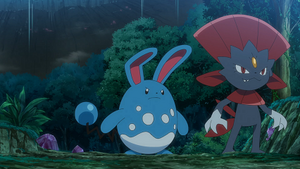 LV134 - Azumarill de Danika et Dimoret de Milan.png