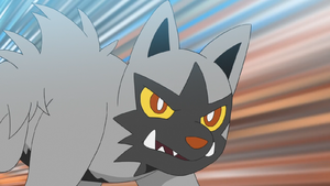 Medhyèna de la Team Rocket.png