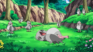 NB002 - Poichigeon.png