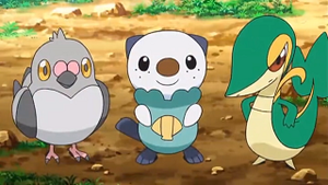 NB017 - Poichigeon, Moustillon et Vipélierre de Sacha.png