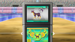 NB105 - Léopardus Pokédex.png