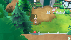 Route 10 Poké Ball LGPE.png