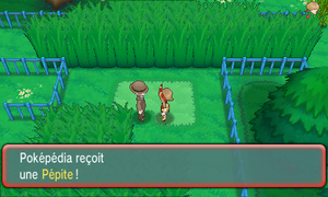 Route 121 Pépite ROSA.png