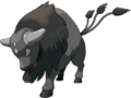 Tauros Race Combative