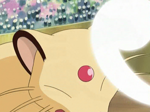 AG128 - Persian de Virginie (Flash-back).png