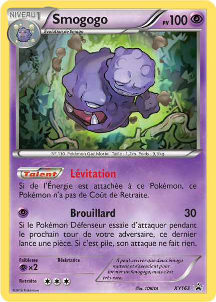 Fichier:Carte Promo XY XY163.png