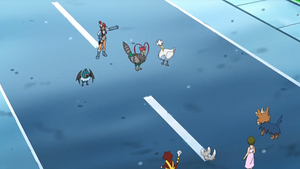 NB067 - Chinchidou et Ponchien d'un Dresseur.png