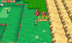 Route 114 Baie Willia ROSA.png