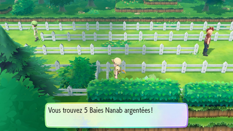 Fichier:Route 13 Baie Nanab argentée LGPE.png