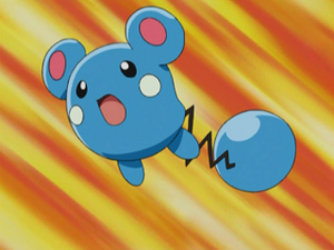 AG103 - Azurill d'un Dresseur.png