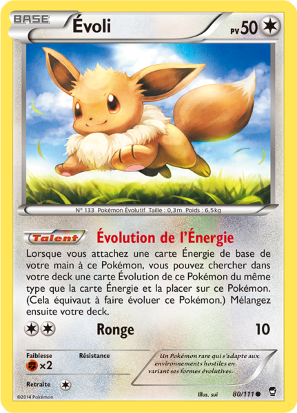 Fichier:Carte XY Poings Furieux 80.png