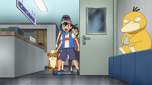 LV067 - Psykokwak d'un Dresseur.png