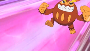 NB022 - Darumacho d'un Dresseur.png