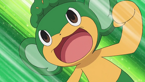 NB070 - Feuillajou de Rachid.png