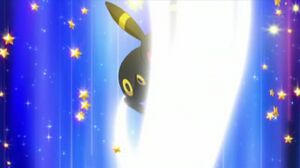 Noctali Queue de Fer.jpeg