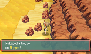 Route 111 Rappel ROSA.png