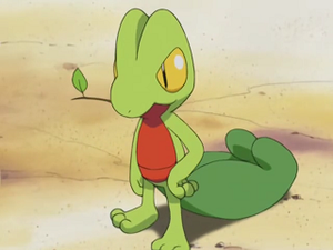 AG028 - Arcko de Sacha.png