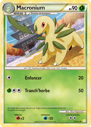 Carte HeartGold & SoulSilver 35.png