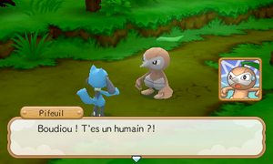 Forêt Verdoyante (1) PMDM.png