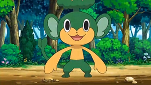 NB020 - Feuillajou de Rachid.png