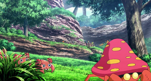 Paras et Parasect sauvages - Film 16.png