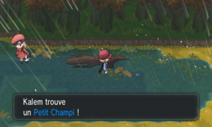 Route 14 Petit Champi XY.png