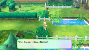 Route 25 Baie Nanab LGPE.png