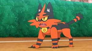 SL143 - Matoufeu de Sacha.png