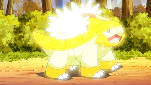 Boskara Synthèse.png